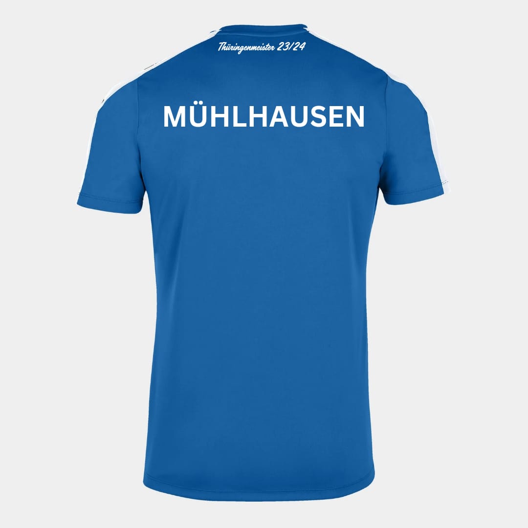 Fan-Trikot Saison 24/25